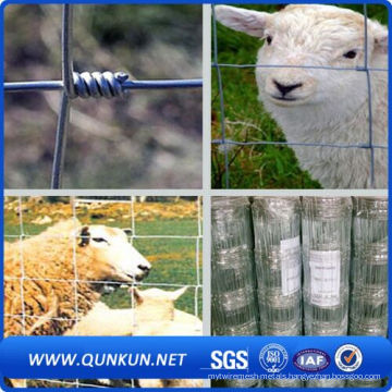 Electro Galvanized Iron Wire Mesh Cattle Fencing